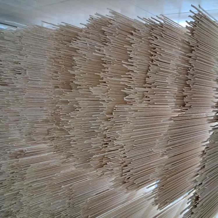 1751351508516.webp 1751351508516.webp